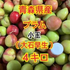 青森県産！プラム　大石早生　4キロのサムネイル
