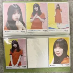 葉山風花 ブロマイド コンプリート ドラゴンエイジ 2025年4月号 - メルカリ
