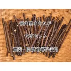 ☆またたびの木☆15本セット☆防腐剤等不使用☆信州産！☆マタタビ☆またたび☆