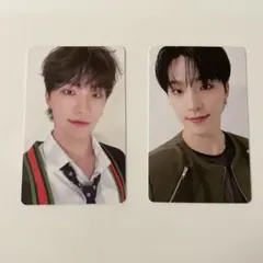 パワラブ　ディノ