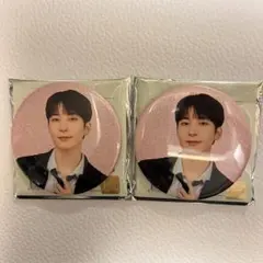 SEVENTEEN セブチ holiday 缶バッジ ウォヌ 2個