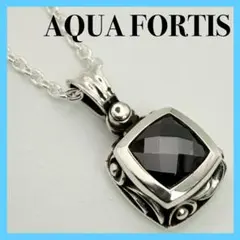 2026年最新】aqua fortisの人気アイテム - メルカリ