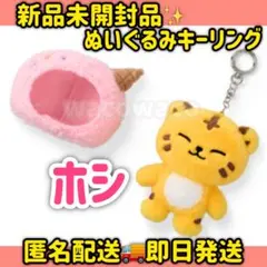 miniteen ICECREAM ポップアップ ぬいぐるみ キーリング ウォヌ - メルカリ