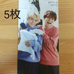 5枚【 Myojo 】 宮近海斗 松倉海斗 厚紙カード 2022年5月号