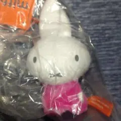 Item thumbnail for item 2f6d48d7-ecf5-478a-8922-c22b27317a53