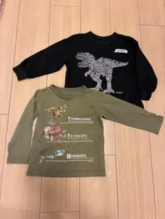 シュライヒ恐竜プリント 長袖Tシャツ 2枚セット 100cm