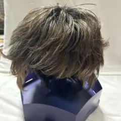えいこねー様専用 フォンテーヌ スワニー フルウィッグ SGW10 R465