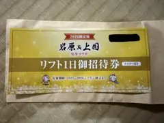 上国＆岩原　リフト1日ご招待券　ナイター付き　2枚 上越国際スキー場 岩原スキー場 リフト1日御招待券 2025年版