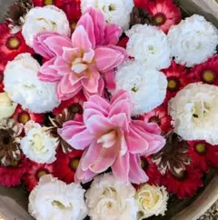 聖ドラミ様 リクエスト 3点 まとめ商品