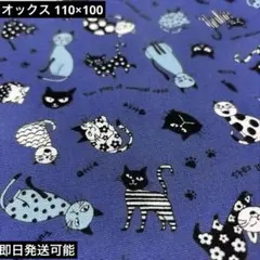 Item thumbnail for item b6a1a2d7-0d40-4726-8006-ef8c0f3b3331