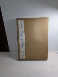 野口晴哉著作全集 第一巻 初期論集一』 - メルカリ
