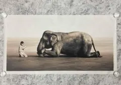 【額縁付き】グレゴリーコルベール 2025年最新】グレゴリー・コルベールの人気アイテム - メルカリ