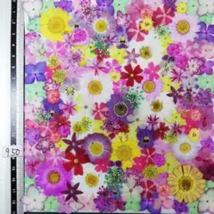押し花素材　NO950 ノースボール ビオラ 紫陽花　バーベナ 小花　押し花