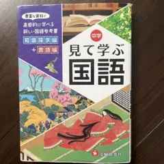 中学 見て学ぶ国語 知識探究編 言語編 受験研究社