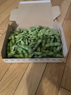枝豆　湯上がり娘のサムネイル