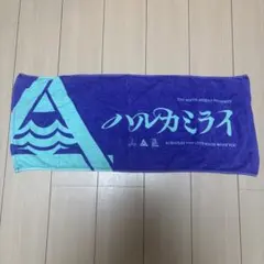 2026年最新】国内アーティスト：ハルカミライ ミュージシャン タオルの