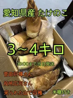 京都産 報恩寺筍 白子筍2キロ - メルカリ