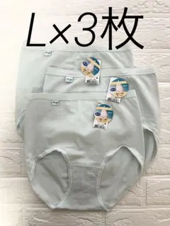 Lサイズ×3枚　スロギー　はきこみ深めショーツ　綿95%（枚数追加可能）