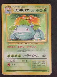 フシギバナ 旧裏