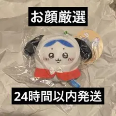 ちいかわ　サンリオキャラクターズ　ぷちミニフードマスコット　ハチワレ　ポチャッコ