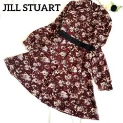 JILL STUART 花柄ピンタック膝丈ワンピース　フレア　レースベルト　長袖