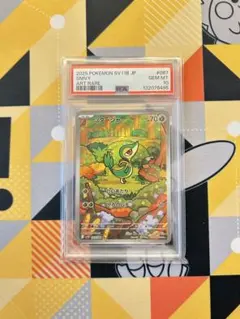 2026年最新】ツタージャ ARの人気アイテム - メルカリ