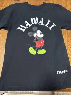 Item thumbnail for item 878a12bd-33b0-44d8-ba3c-0ff72a00cb12