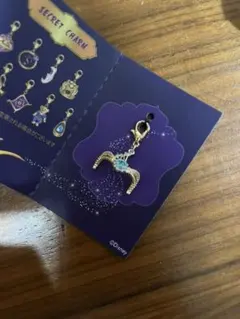 劇団四季　アラジン　シークレットチャーム