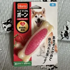 Item thumbnail for item f4d3b7fe-4e61-4fe0-999e-dffc6a2ba2bd