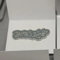 CORTIS ジェームス PYPD JAPAN ピンバッジ　コルティス