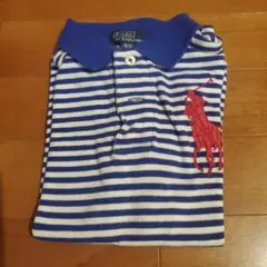 ポロシャツ 110cm Polo Ralph Lauren 青ボーダー