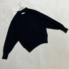 Ladyl ＊ ウール100% ポロ襟 ニット トップス ブラック NLL