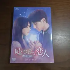 シン・ヒョンス☆ハン・スンヨン『恋する十二夜』レンタル落ちDVD