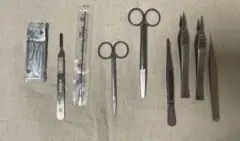 2026年最新】解剖 スガワラの人気アイテム - メルカリ