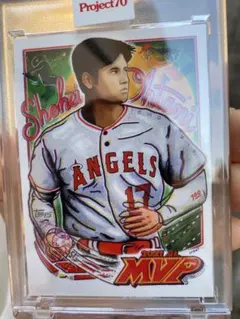 大谷翔平 MLB ドジャース 記念セット ボール＆カード 真美子＆デコピン