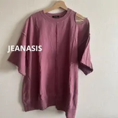 JEANASIS ダメージウラケプルオーバー Fサイズ