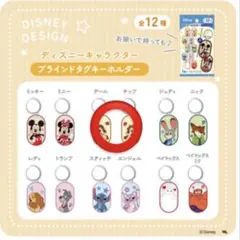 ディズニー タグキーホルダー チップ デール