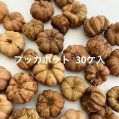NO.661-105 プッカポット (木の実／素材) 30ケ入