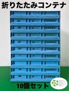 折りたたみ　プラスチックコンテナ 10個セット　収納コンテナ　M-40A