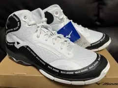 未使用品⭐︎Mizuno ⭐︎ミズノ⭐︎WAVE DIVERSE DE2⭐︎24.5cm - メルカリ