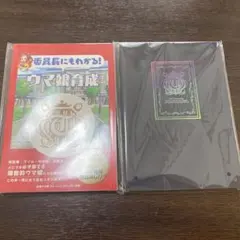 新品未使用品！ウマ娘　柄付きノートセット！