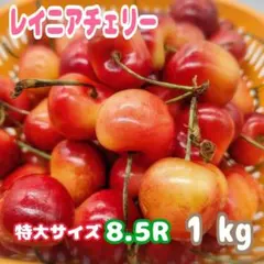 レイニアチェリー 1kg 高糖度 8.5R 大玉 - メルカリ