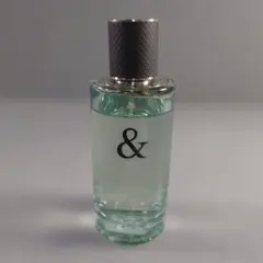 A1475-17/ティファニー＆ラブ フォーヒム オードトワレ/香水/90ml/のサムネイル
