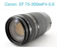 ☆人気の望遠レンズ☆イベント☆スポーツ☆Canon EF75-300㎜ - メルカリ