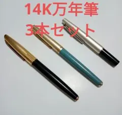 PILOT万年筆マンネンヒツ グランセDLMダークブルー FGRC12SRDLM - メルカリ