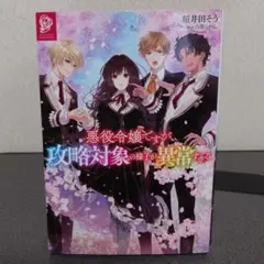 Item thumbnail for item cf8accbe-9817-45eb-8f34-d919860b37b1