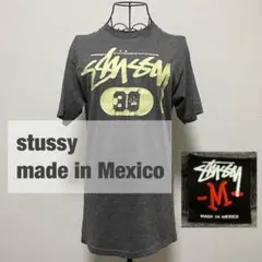 STUSSY ステューシー Tシャツ 半袖 メキシコ製 30周年 2010年