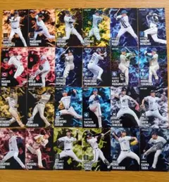 2025 カルビープロ野球 第2弾　スターカード24種コンプリートセット