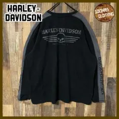 バイカー ドクロ スカル メンズ ブラック ハーレーダビッドソン 2XLTシャツ