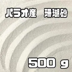 天然】パラオ産 珊瑚砂 500g 極細サイズ 1 - メルカリ